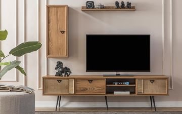 Pelit TV Ünitesi (Seri Sonu)