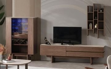 Lion TV Ünitesi