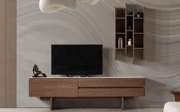 Lion TV Ünitesi