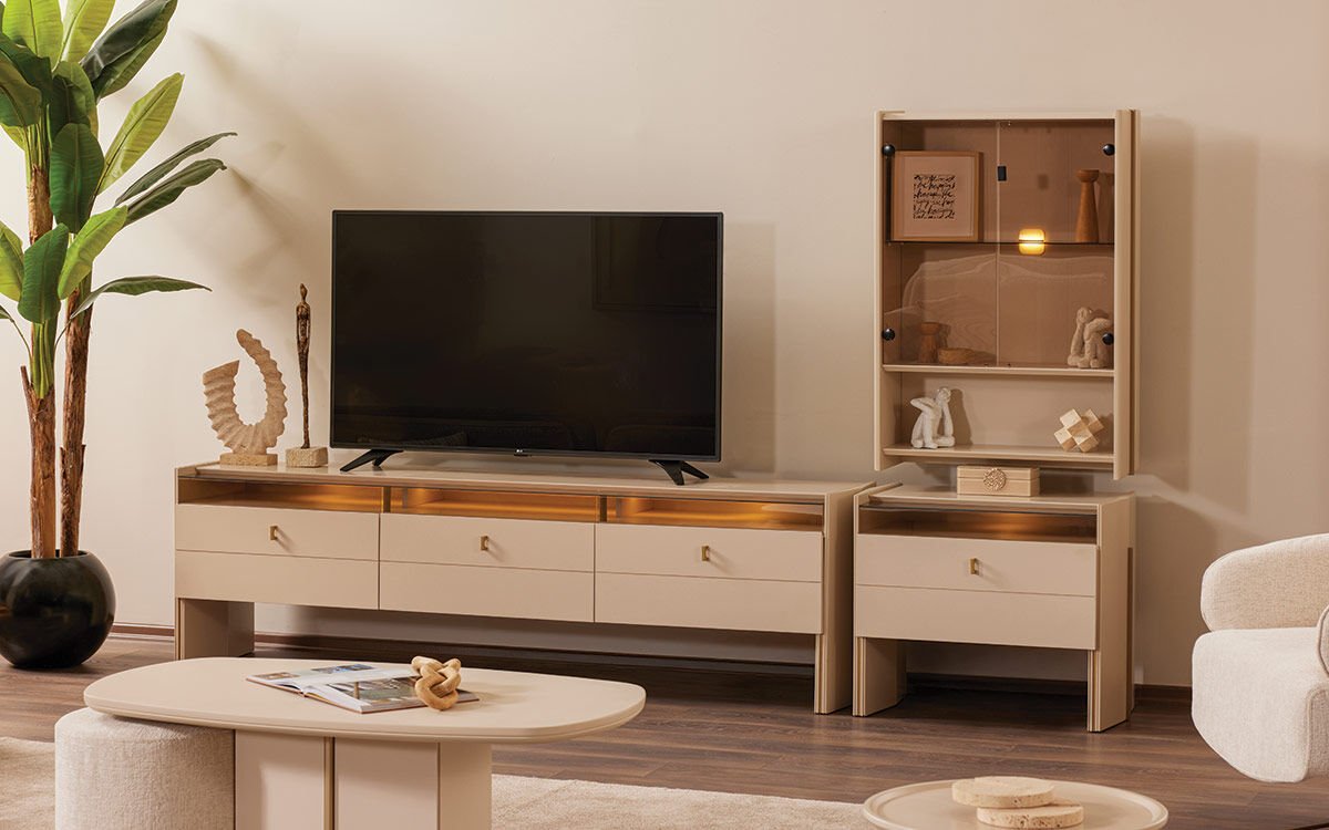 Wipo TV Ünitesi